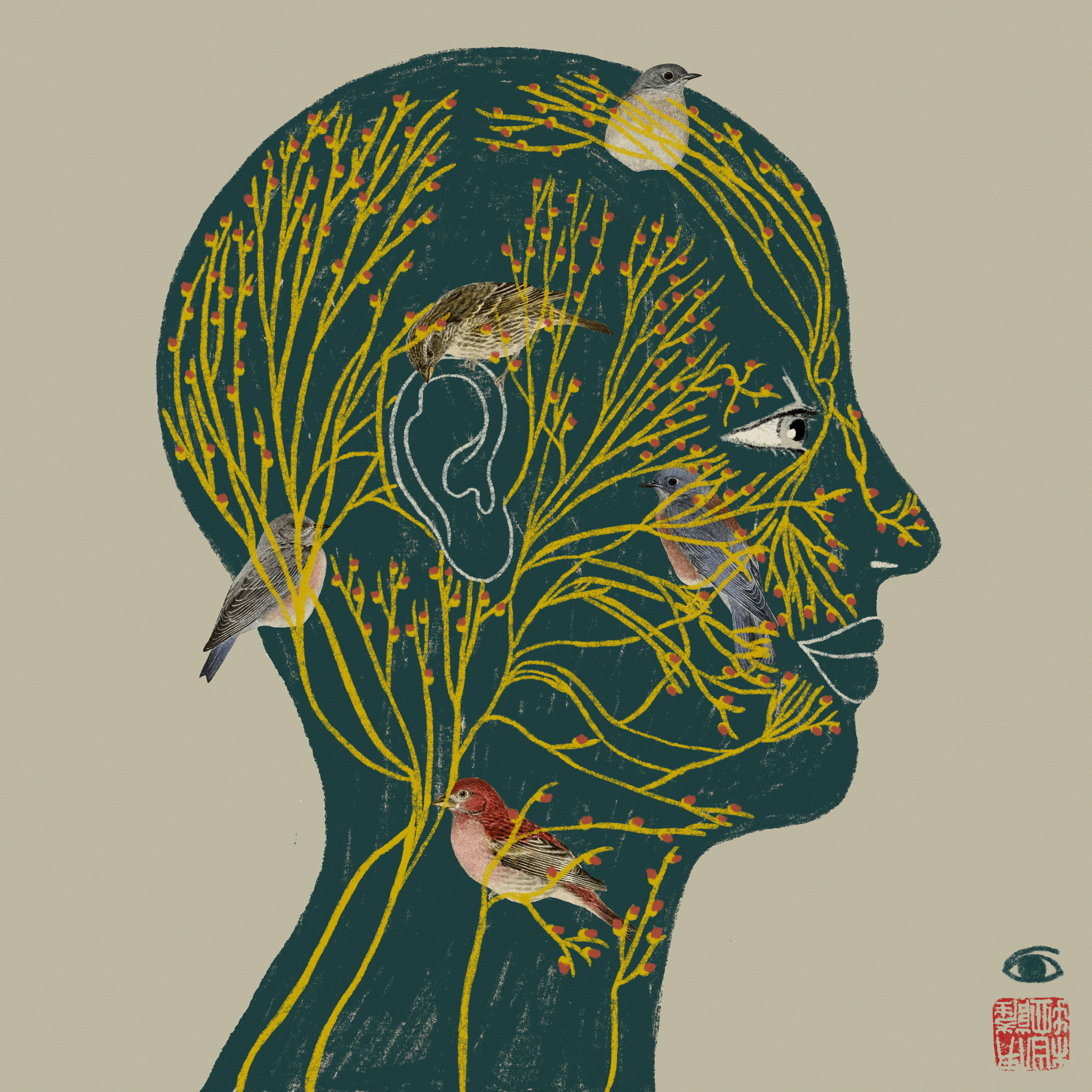 The UNTAPPED POTENTIAL of the VAGUS NERVE