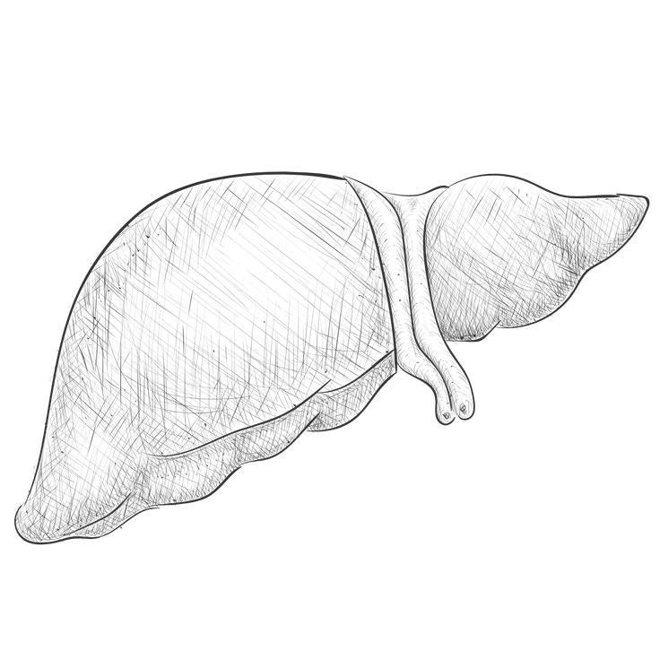 Glutathione  - The Master Antioxidant