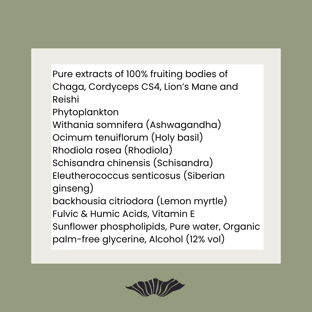 Endless Energy: Mushroom Blend for Adrenals & Vitality